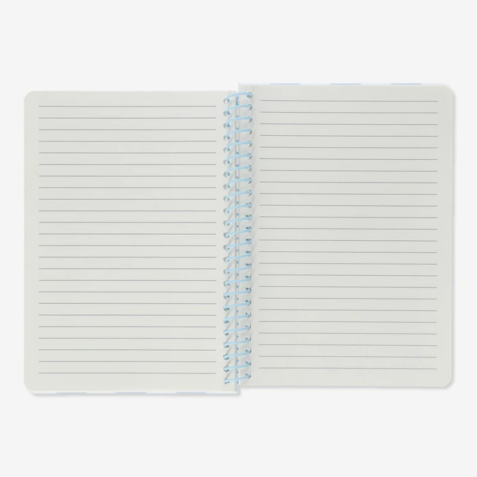 Flying Tiger Copenhagen Plastik Kapaklı Çizgili A5 Defter