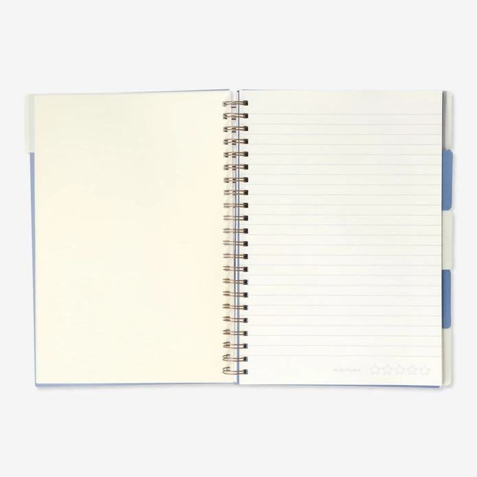 Flying Tiger Copenhagen Çizgili ve Bölümlü A4 Defter