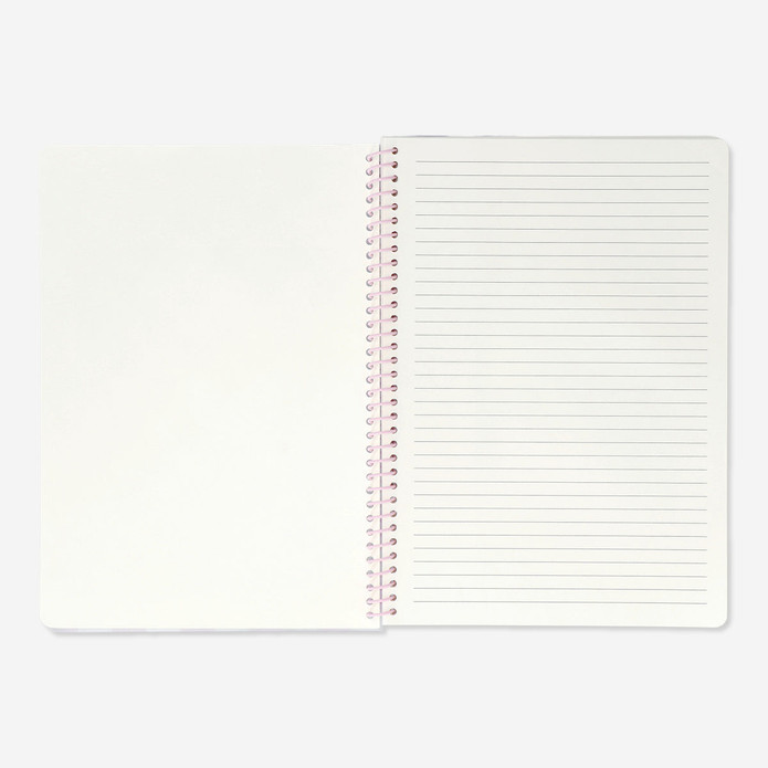 Flying Tiger Copenhagen Plastik Kapaklı Çizgili A4 Defter