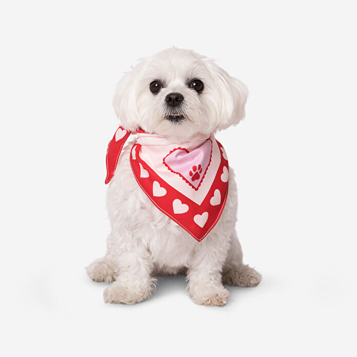 Flying Tiger Copenhagen Kalpli Köpek Bandanası 57 cm x 28,2 cm