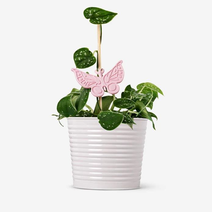 Flying Tiger Copenhagen 2'li Pembe Kelebek Şeklinde Bitki Desteği