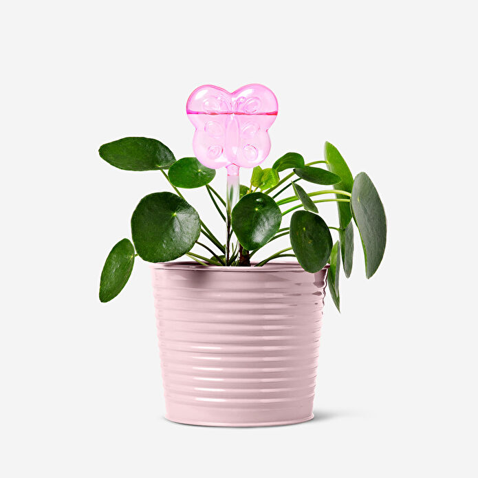 Flying Tiger Copenhagen Kelebek Şeklinde Kendi Kendine Sulama Aparatı