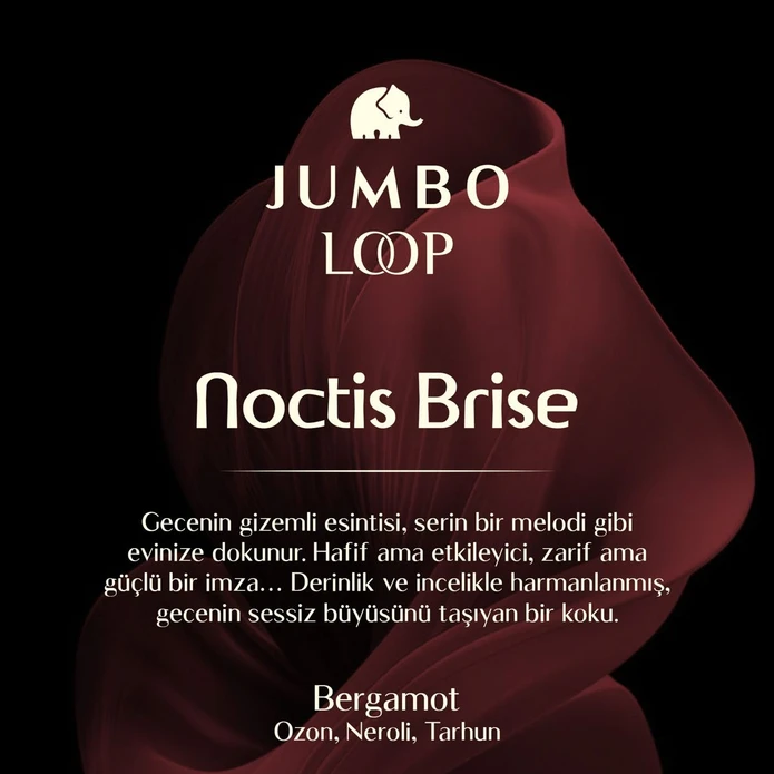 Jumbo Loop Noctis Brise Çubuklu Oda Kokusu, Mat Burgendy Şişe