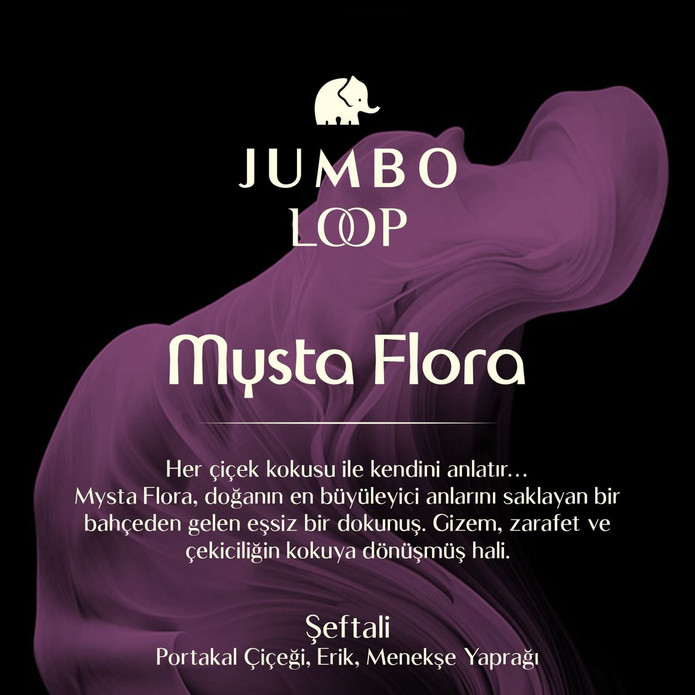 Jumbo Loop Mysta Flora Çubuklu Oda Kokusu, Mat Gül Kurusu Şişe