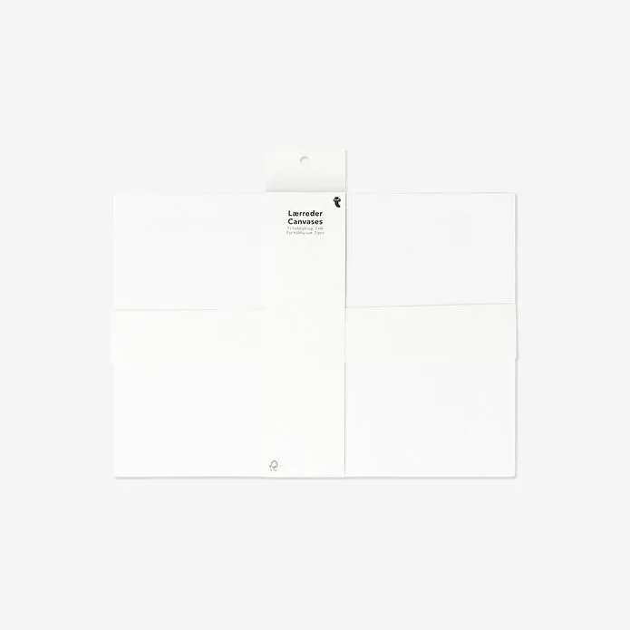 Flying Tiger Copenhagen 3'lü İnce Kanvas A4