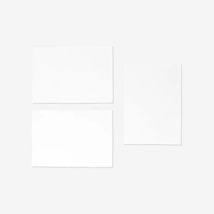 Flying Tiger Copenhagen 3'lü İnce Kanvas A4