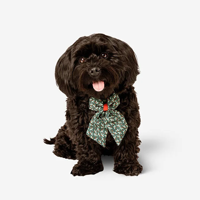 Flying Tiger Copenhagen Yılbaşı Desenli Köpek Papyonu