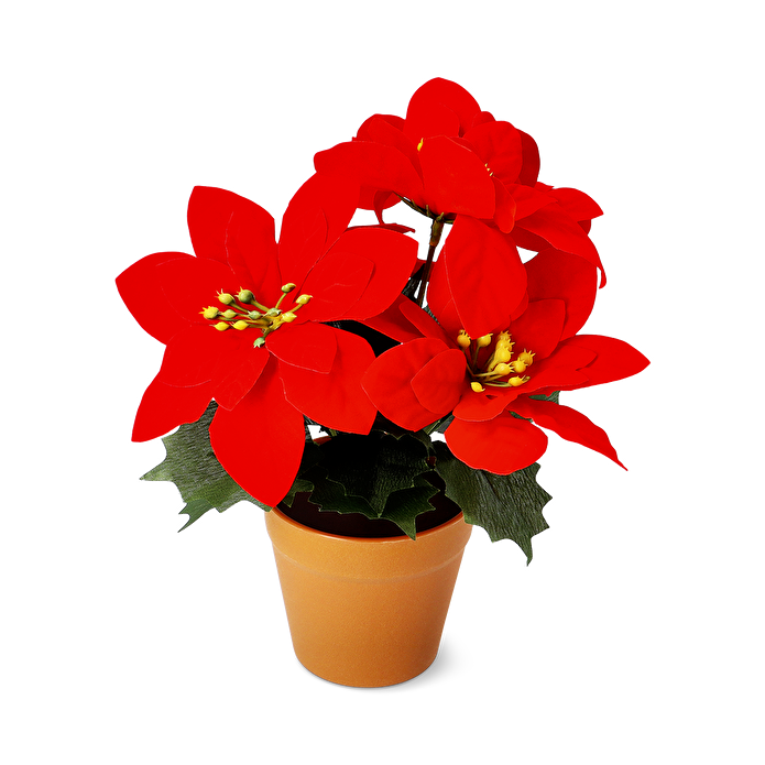 Flying Tiger Copenhagen Saksıda Yapay Yılbaşı Çiçeği