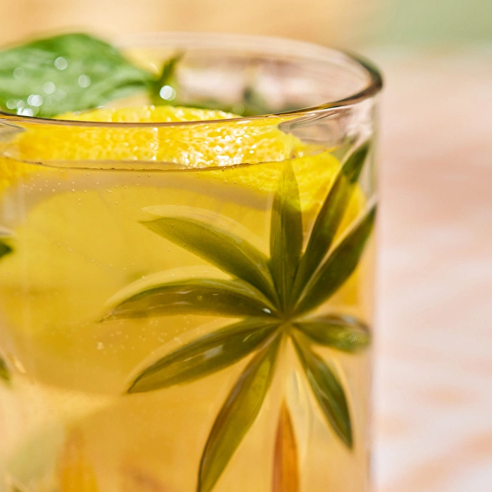 Karaca Palmiyeli Meşrubat Bardağı 400 ml