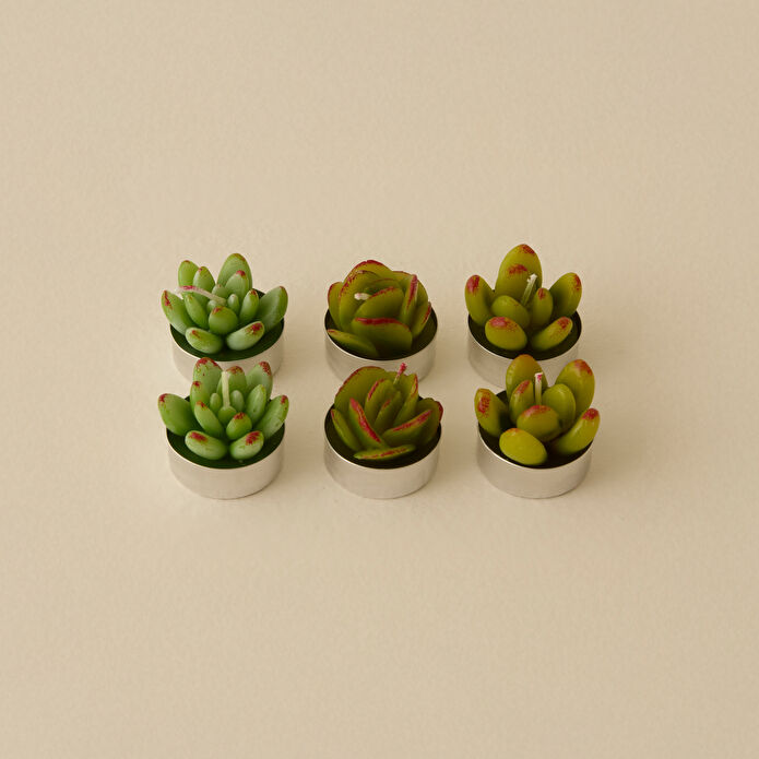 Karaca Home Sukulent 6'lı Tealight Mum