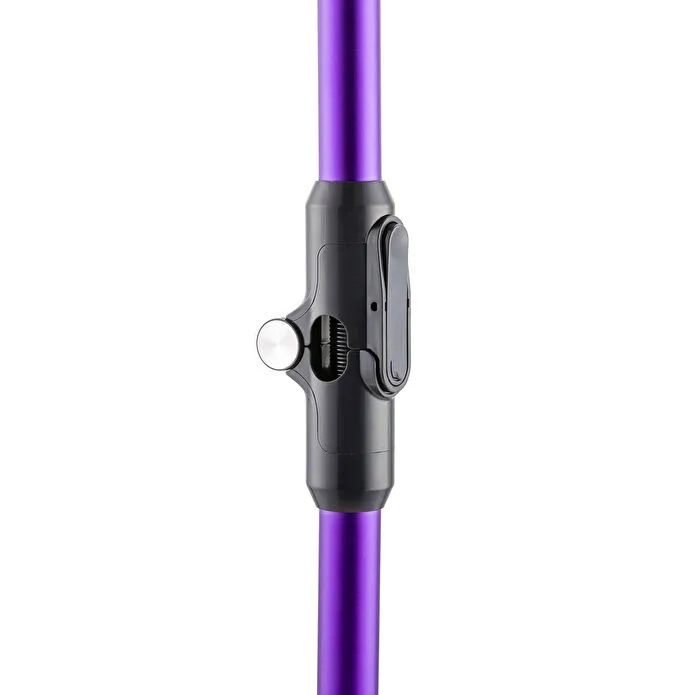 Homend Dustrider 1266H Dikey Süpürge Mor