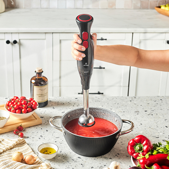Emsan Pro Multimax 6 in 1 Çok Amaçlı Mutfak Robotu Black
