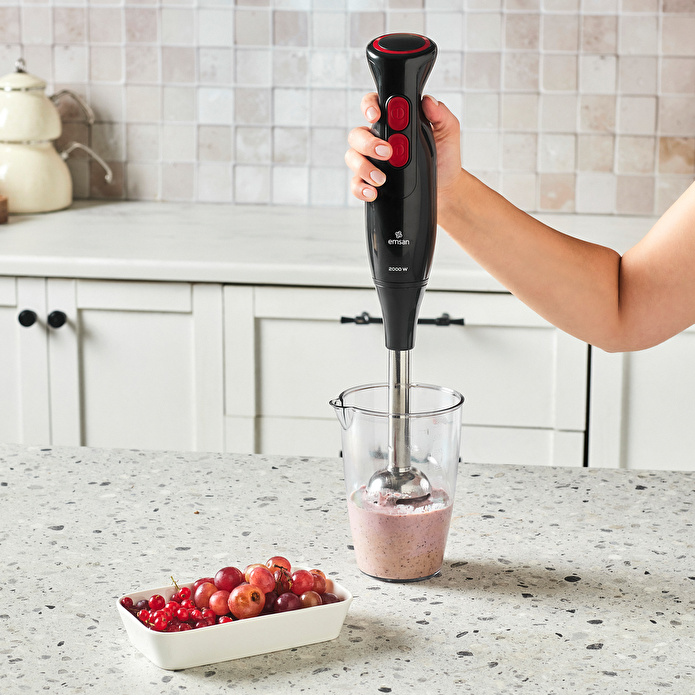 Emsan Pro Multimax 6 in 1 Çok Amaçlı Mutfak Robotu Black