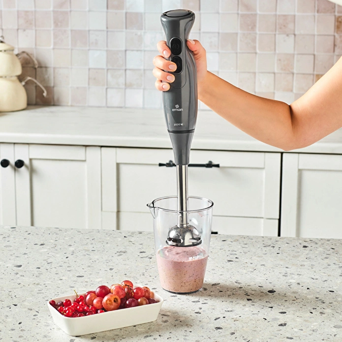 Emsan Pro Multimax 6 in 1 Çok Amaçlı Mutfak Robotu Space Gray 2000 W