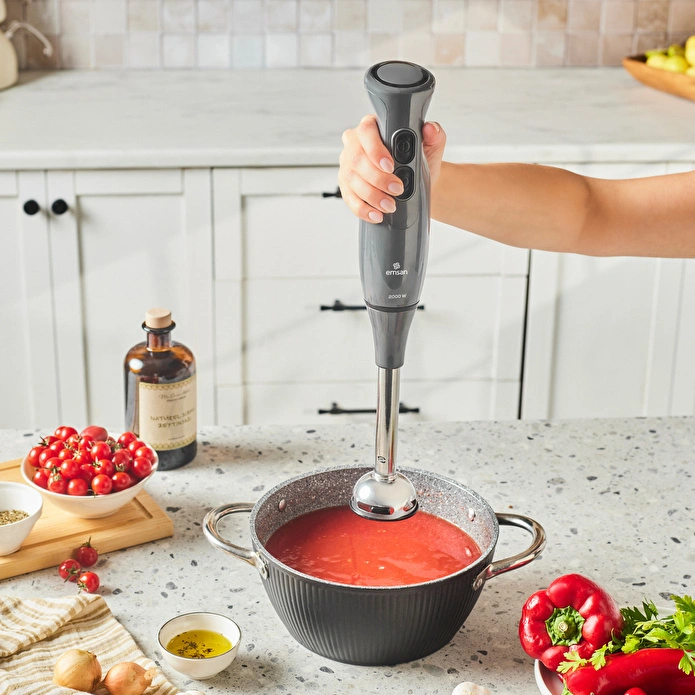 Emsan Pro Multimax 6 in 1 Çok Amaçlı Mutfak Robotu Space Gray 2000 W