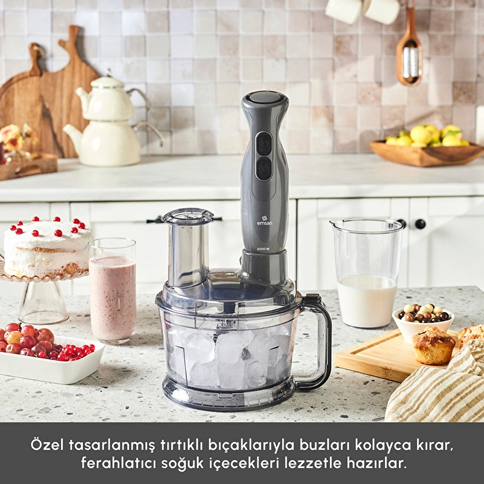 Emsan Pro Multimax 6 in 1 Çok Amaçlı Mutfak Robotu Space Gray 2000 W