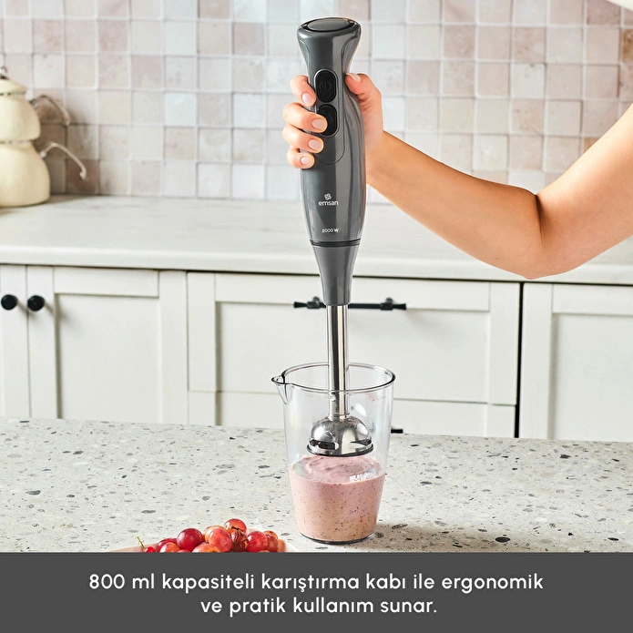 Emsan Pro Multimax 6 in 1 Çok Amaçlı Mutfak Robotu Space Gray 2000 W