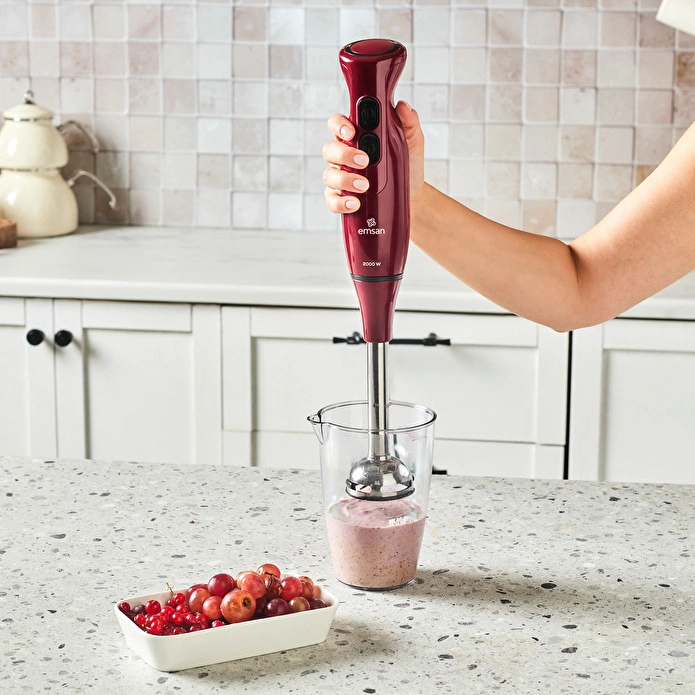 Emsan Pro Multimax 6 in 1 Çok Amaçlı Mutfak Robotu Red 2000 W