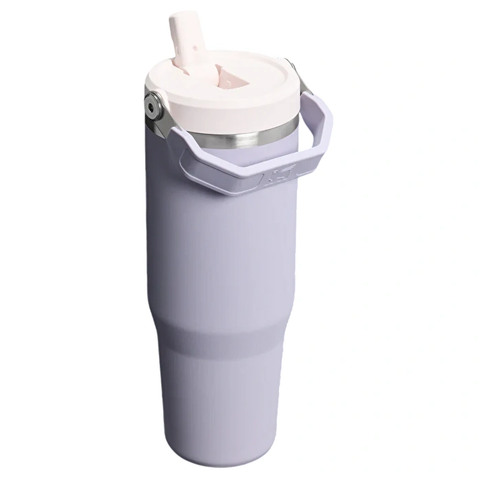 Stanley The IceFlow Flip Straw Pipetli Termos Bardak 890 Ml Purple Dust