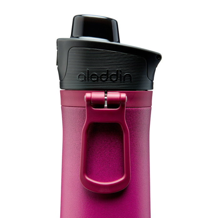  Aladdin Sports Thermavac Paslanmaz Çelik Su Şişesi 0.60 Lt Burgundy-Orchid Gradie