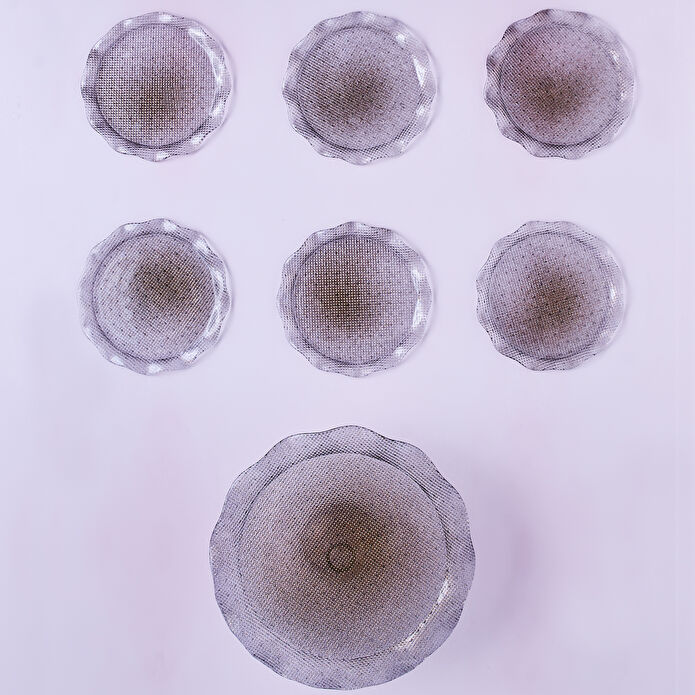 KARACA TUGİ 7 PARÇA PASTA/TATLI SETİ