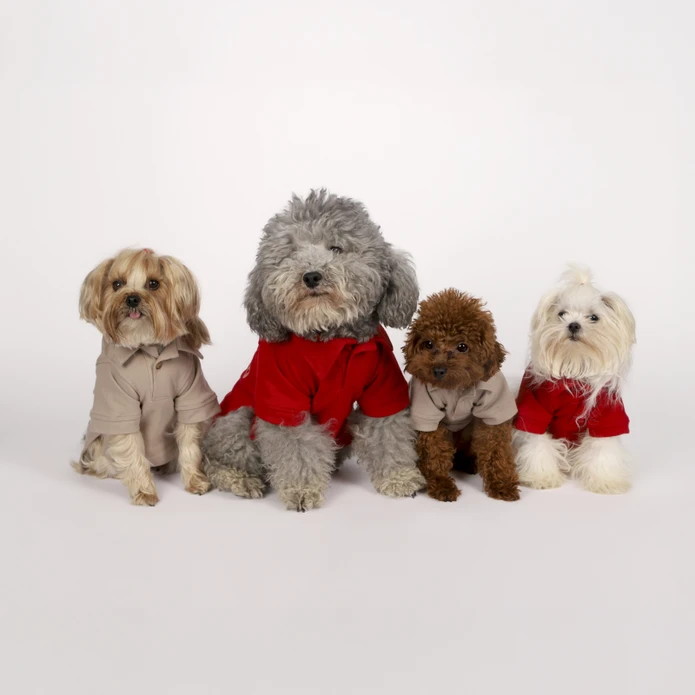 Karaca Home x Pati I Woof you T-Shirt S Beden Vizon