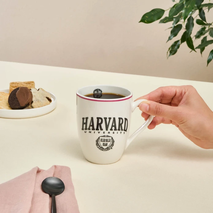 Karaca Harvard Kupa 350 Ml Siyah Kırmızı