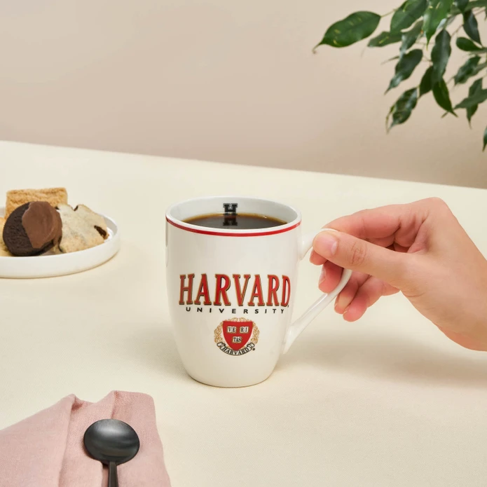 Karaca Harvard Kupa 350 Ml Kırmızı 