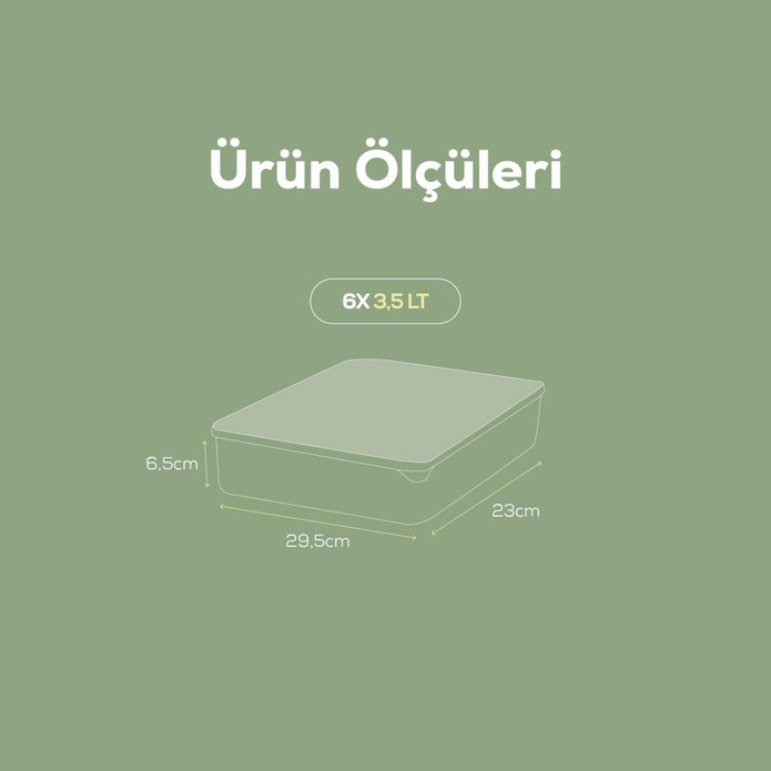 Vienev 6lı 3,5 Litre Buzdolabı Dondurucu Organizer Mikrodalga Ve Difrize Uygun Saklama Kabı Mint
