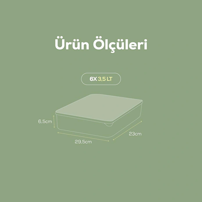 Vienev 6lı 3,5 Litre Buzdolabı Dondurucu Organizer Mikrodalga Ve Difrize Uygun Saklama Kabı Mint