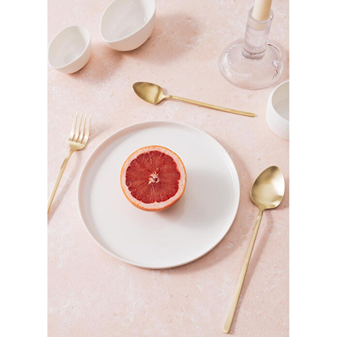 The Mia Cotta Limoges Pasta Tabağı Beyaz 21 Cm