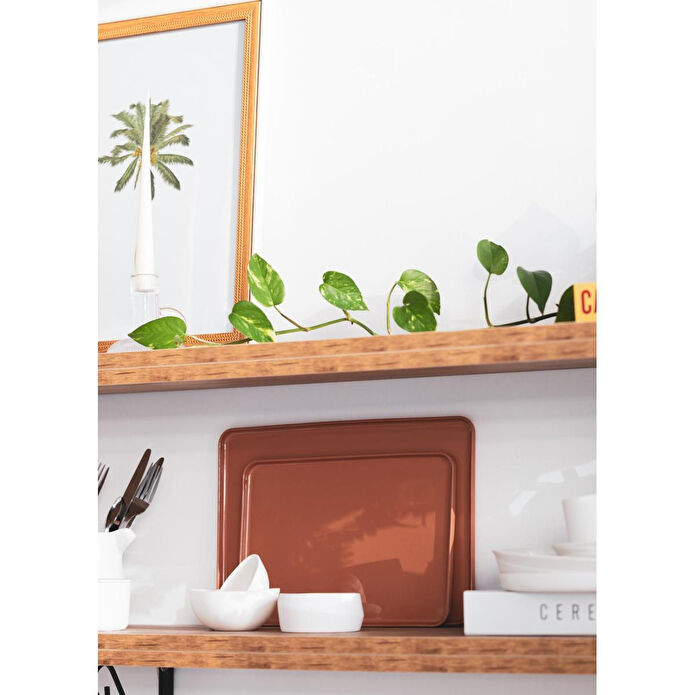 The Mia Cotta Limoges Servis Tabağı Terracota 33x23 Cm