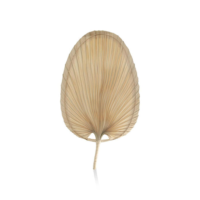 The Mia Dekoratif Palmiye Yaprağı 2x28x52 Cm