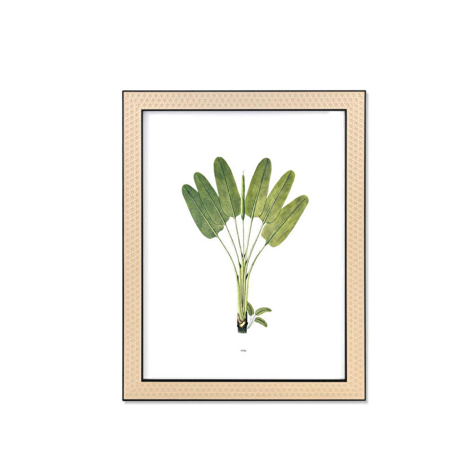 The Mia Vimini Fotoğraf Çerçevesi Siyah 30x40 Cm