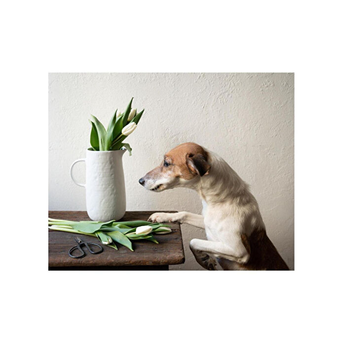 The Mia Pure Dekoratif Vazo 18x13x23 Cm