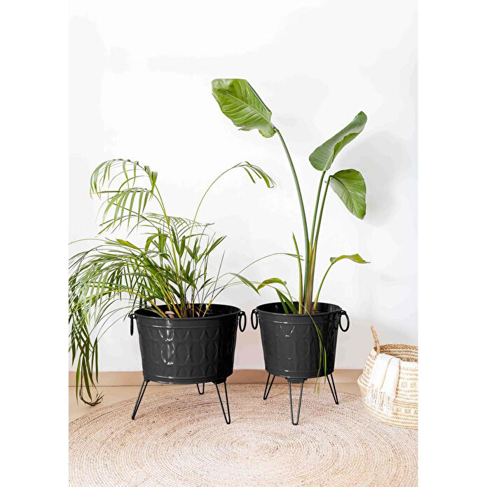 The Mia Prizma Vazo Saksı Siyah 43x45 Cm