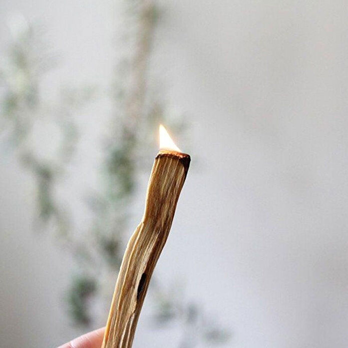 Coho Objet Coho Natural Palo Santo Tütsü Ağacı 4 Lü Set