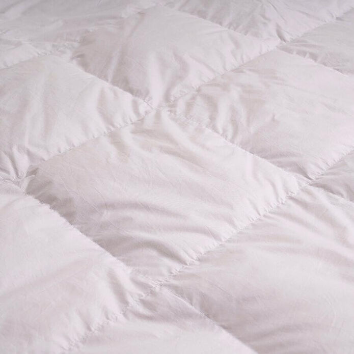 Penelope 8,5 Tog %100 Kaz Tüyü Tek Kişilik Yorgan 155x215 Cm - Gold Serisi