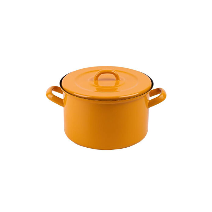 Emaylab Rainpot Tencere 22 Cm Mustard