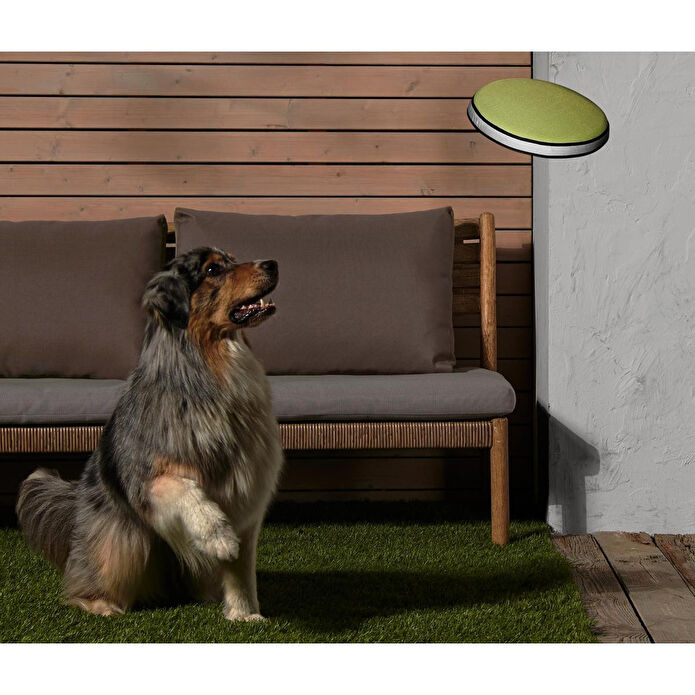 Tchibo Köpekler İçin Frizbi