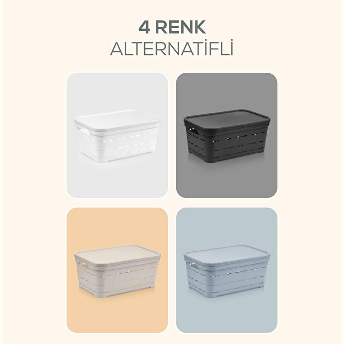 Vienev 4'lü Kapaklı 2,8 Litre Delikli Saklama Kutusu Antrasit