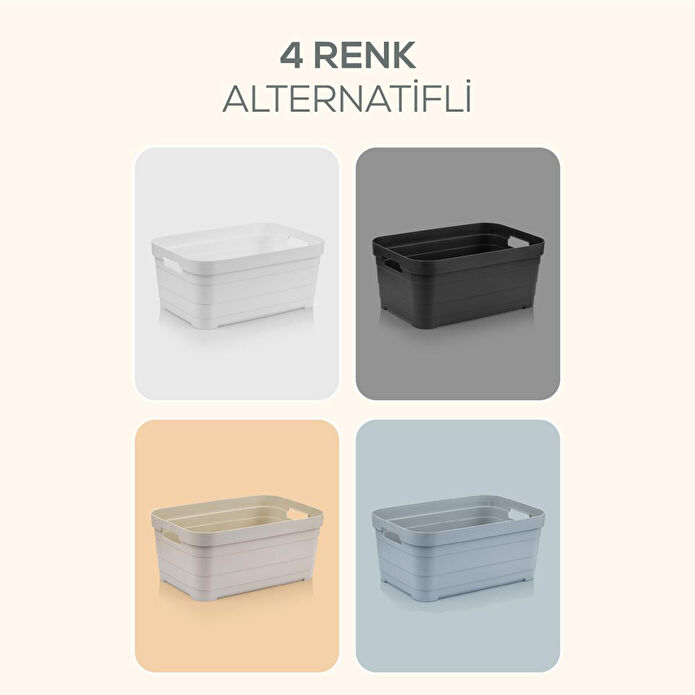 Vienev 4'lü 2,8 Litre Saklama Kutusu Antrasit