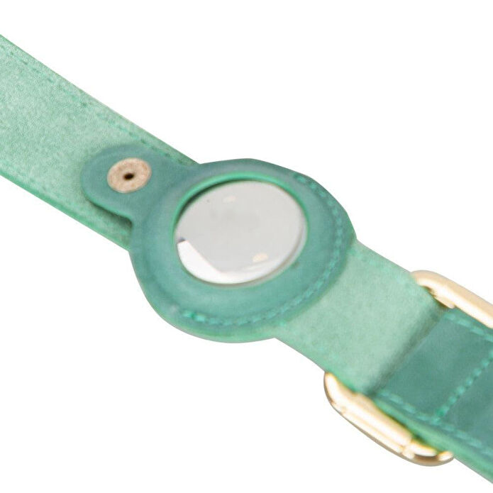 Bloominbag Bloompaw Chartreuse Airtag Yuvalı Hakiki Deri Pet Tasma