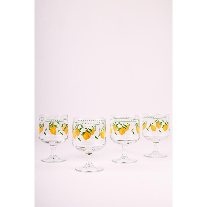 Rakle Bodrum 4'lü Dondurmalık Seti 300 cc