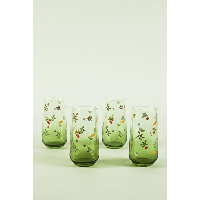 Rakle Jardin 4'lü Meşrubat Bardağı Seti 470 Cc