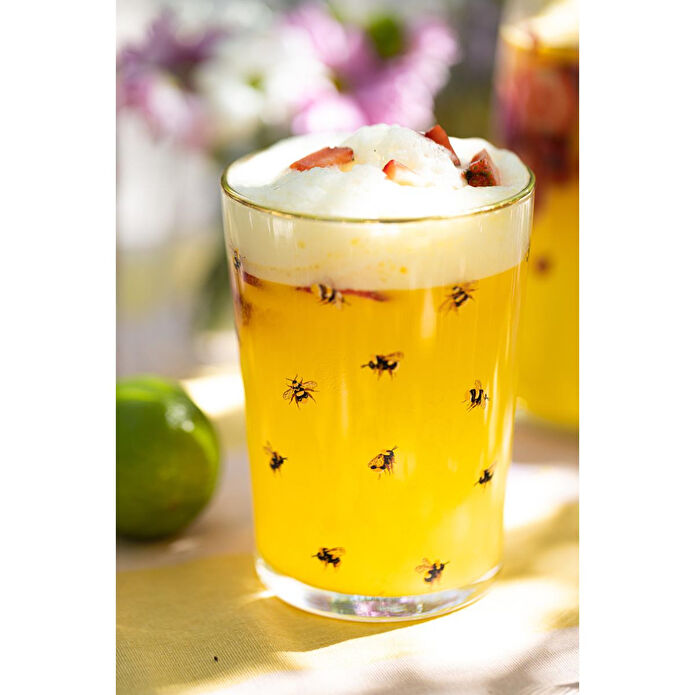 Rakle Lady Bird 4'lü Meşrubat Bardağı Seti 510 Cc