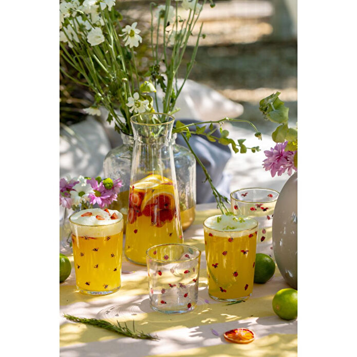 Rakle Lady Bird 4'lü Su Bardağı Seti 380 Cc