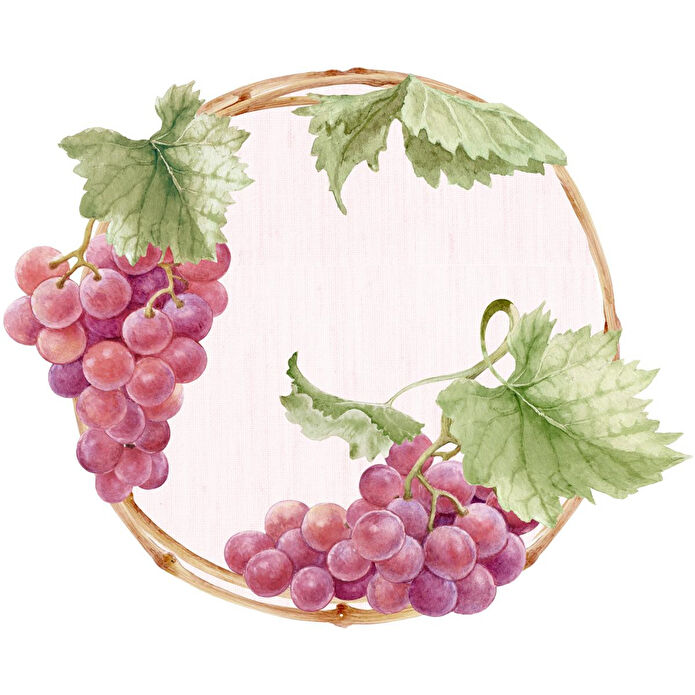 Maxxdeco Supla Servis 12440