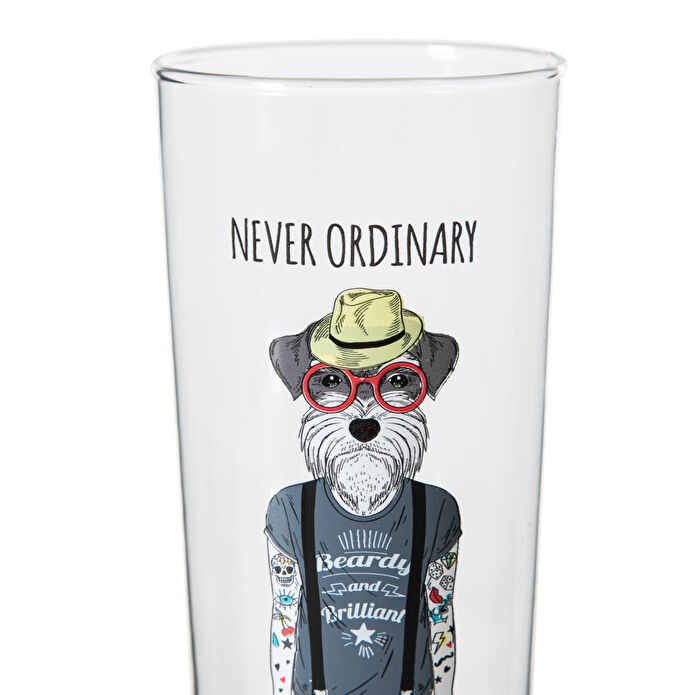 Mudo Home Dog Bi̇ra Bardaği 500 Cc