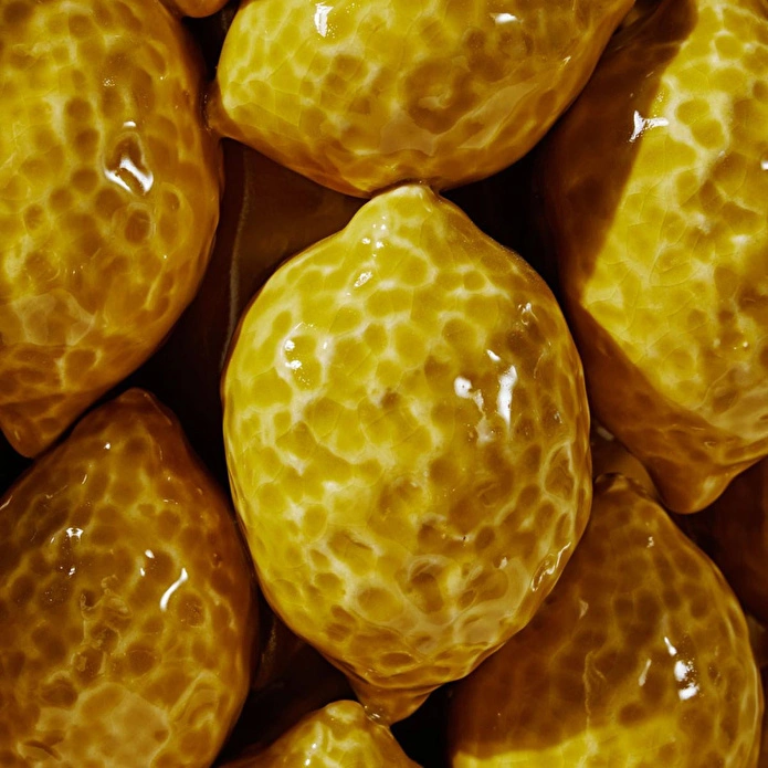 Mudo Home Lemon Grove Dekorati̇f Kase 37x37x14cm